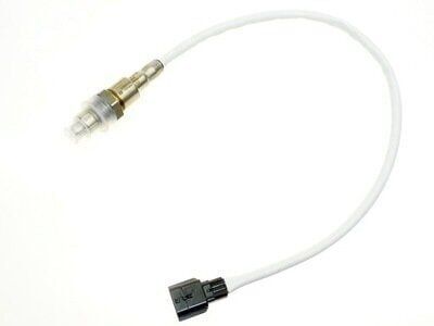 Megane 4 1.6 16 Valf Oksijen Sondası 226905987R-1 - Renault Mais