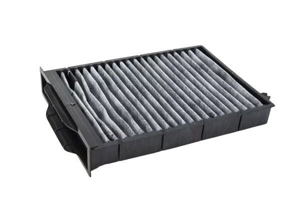 Megane 2-II Polen Filtresi Karbonlu (2003-2010) 7701064235-7701055109 -Renault Mais