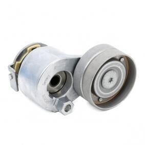 Megane 2-II Alternatör Gergi Rulmanı Komple 1.9 Dci F9Q (2003-2010) 8200905328 -Ina