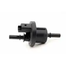Megane 2-II Laguna 2-II Kanister Elektrovana Valfi 1.6 16V K4M 8200660852-8200248821 -Renault Mais